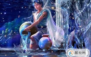 水瓶座和什么座最配