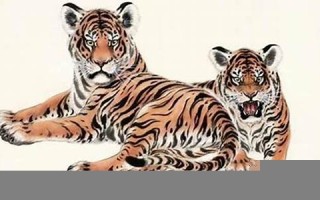 属虎人(属虎人2024年运势及运程每月运程)