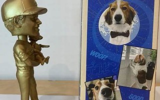 8月28日(8月28日出生的人) 8月28日(8月28日出生的人)