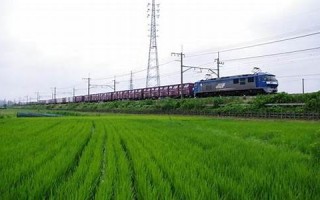 2012年7月22日(2012年7月22日出生的人)