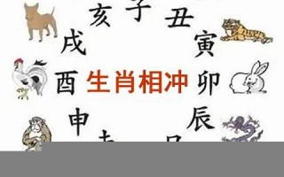 唯命是从是什么生肖(唯命是从是哪个唯)