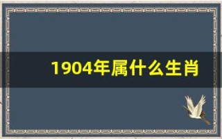 1904年属什么生肖(1904年属什么生肖8月龙命运)
