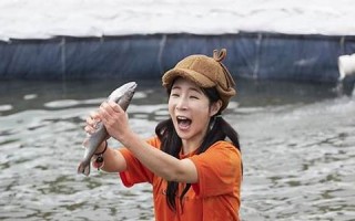 抓鱼(抓鱼机器多少钱一台)