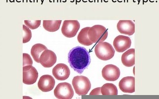 a型男人的性格(a型男喜欢一个人的表现)