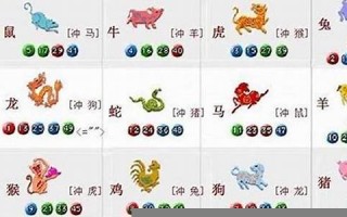 身无分文的生肖是什么(身无分文是成语吗)