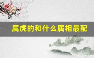 属虎的和什么属相最配(属相虎和虎属相合不合)