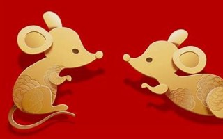 属鼠2021年运势及运程(属鼠2021年运势及运程详解)