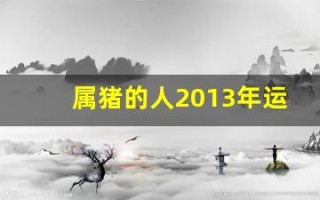 属猪的人2013年运程(属猪人2013年运势运程)
