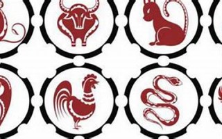 95年属什么的(08年属什么的生肖)