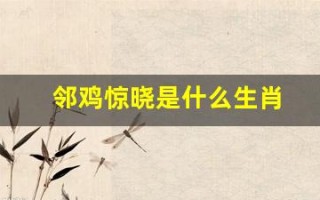 邻鸡惊晓是什么生肖(邻鸡惊晓梦成真是什么生肖)