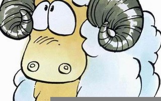 牧羊座是什么星座(牧羊座是什么星座的人)