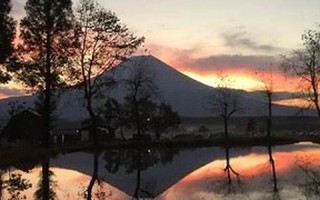 2015年11月10日(2015年11月10日出生的人)