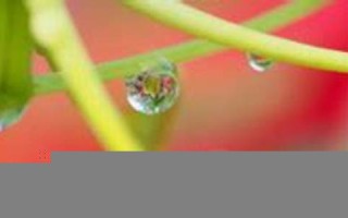 2013年1月4日黄历(阳历2013年1月4日是什么星座)