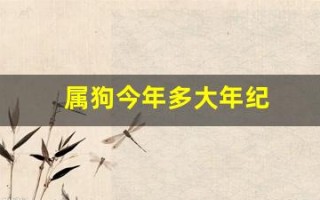 属狗今年多大年纪(属虎今年多大年纪)