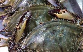 2017年1月27日(2017年1月27日农历是多少)