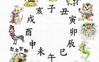 2012年属什么生肖(2012年属什么生肖五行什么命)