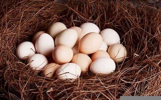 梦见鸡下蛋(周公解梦大全查询大全)