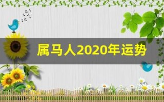 属马人2020年运势(2025属马人的运势)