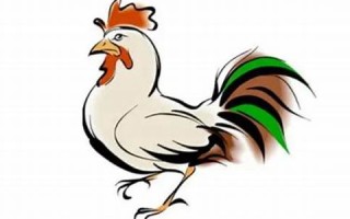 1957年属什么生肖(是什么命)