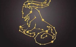 双鱼女和摩羯男