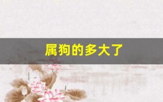 属狗的多大了(属羊的多大了)