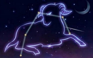 白羊(白羊影院)