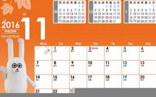 2016年11月11日(2016年11月11日是几周岁)