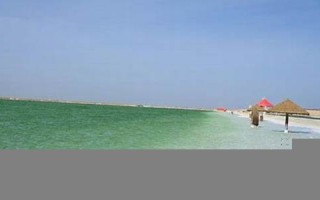 2022年3月3日黄历(2021年3月3日黄历)