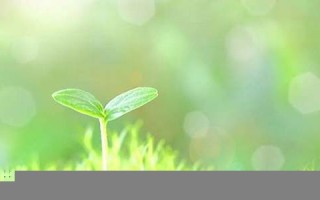 12月12号(12月12号是谁的生日)