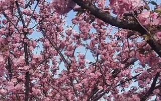 四月二日(四月二日出生的人)