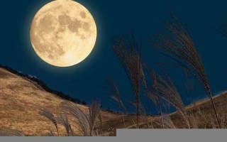 9月10(9月10号是什么节日) 9月10(9月10号是什么节日)