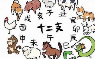 2012什么生肖(2012什么生肖年份) 2012什么生肖(2012什么生肖年份)