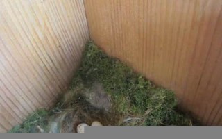 2021年4月1日(2021年4月1日生辰八字) 2021年4月1日(2021年4月1日生辰八字)