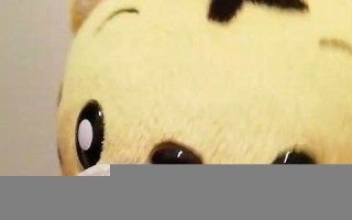 5月12日(5月12日是全国防灾减灾日) 5月12日(5月12日是全国防灾减灾日)