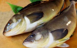 2017年4月21日(世界最大的学术)