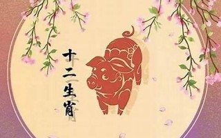 95年属啥(92年属啥) 95年属啥(92年属啥)