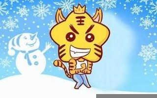 属虎人2013年运势(属虎的13年多大)