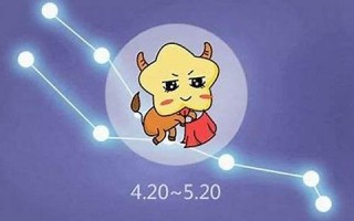 金牛座的性格(双子金牛座的性格)