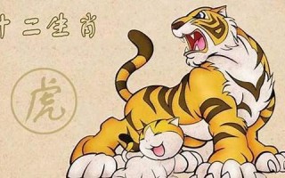 属虎和什么属相最配(属狗和什么属相最配)