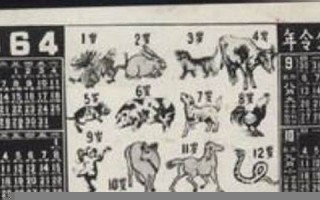 1964年属相