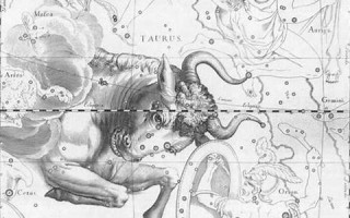 金牛座日期(金牛座日期范围阳历)