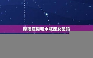 摩羯女和水瓶男(水瓶男和摩羯女适合做夫妻吗)