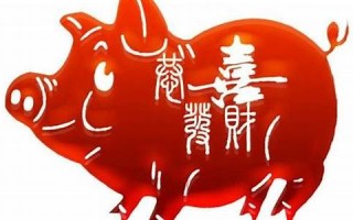 71年属猪48岁命运(71年属猪49岁命运每月运势)