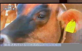 4月14日(4月14日上升星座是什么)