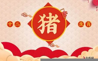 属猪人出生月的命运(属猪人出生月的命运)