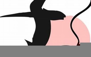 2008年运程(我想看2008年的运势)