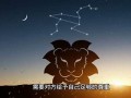 狮子座性格分析(狮子 座性格)