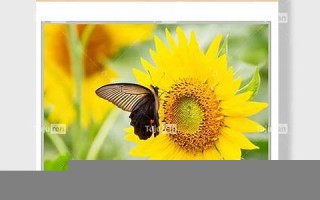 九月十四(九月十四日是什么日子)