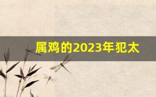 属鸡的2023年犯太岁怎么化解(属鸡2020年犯太岁怎么化解)