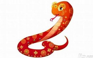 属蛇今年的运程(今年属蛇的多少岁)